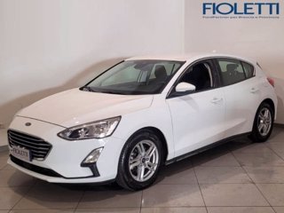 FORD Focus 1.0 EcoBoost 100 CV 5p. Business